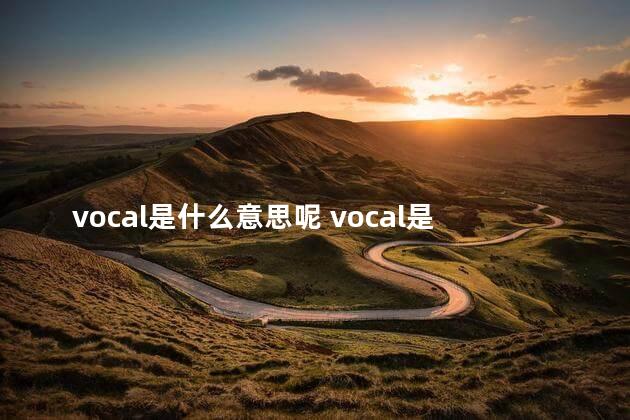 vocal是什么意思呢 vocal是主唱吗